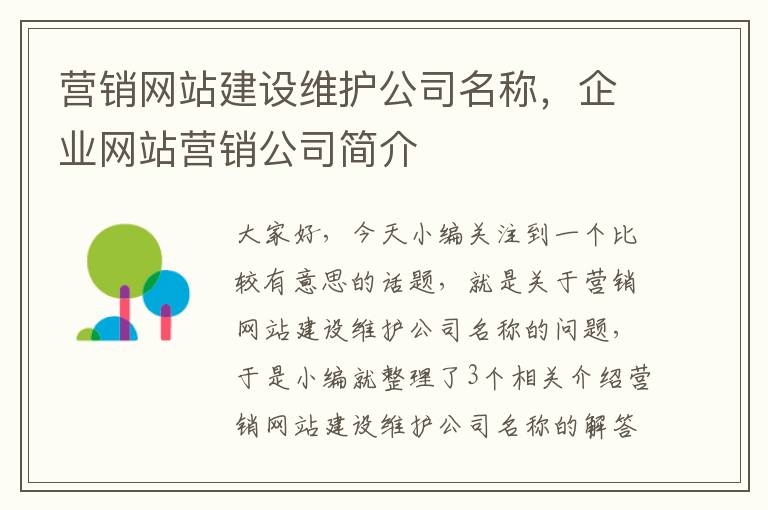 营销网站建设维护公司名称，企业网站营销公司简介