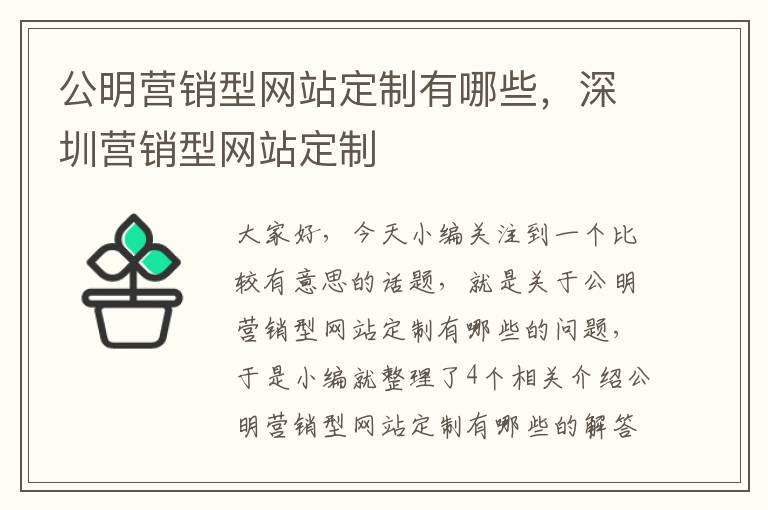 公明营销型网站定制有哪些，深圳营销型网站定制