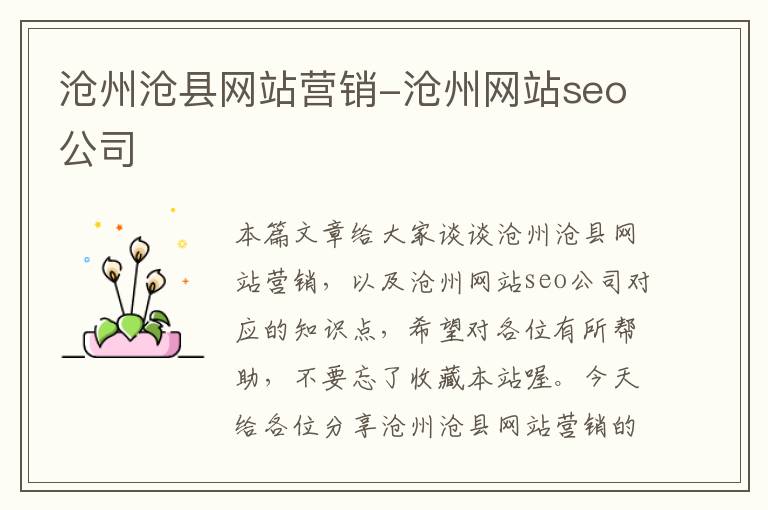 沧州沧县网站营销-沧州网站seo公司