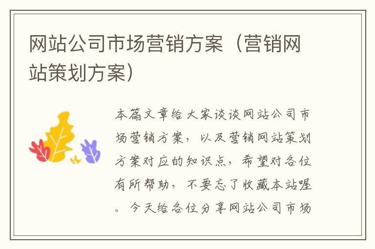 网站公司市场营销方案（营销网站策划方案）