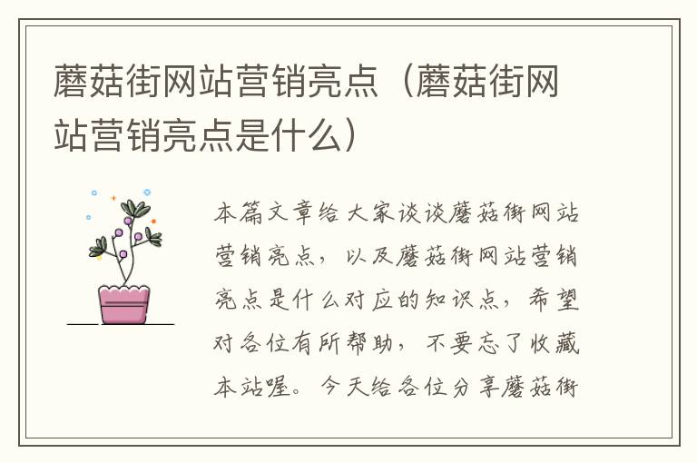 蘑菇街网站营销亮点（蘑菇街网站营销亮点是什么）