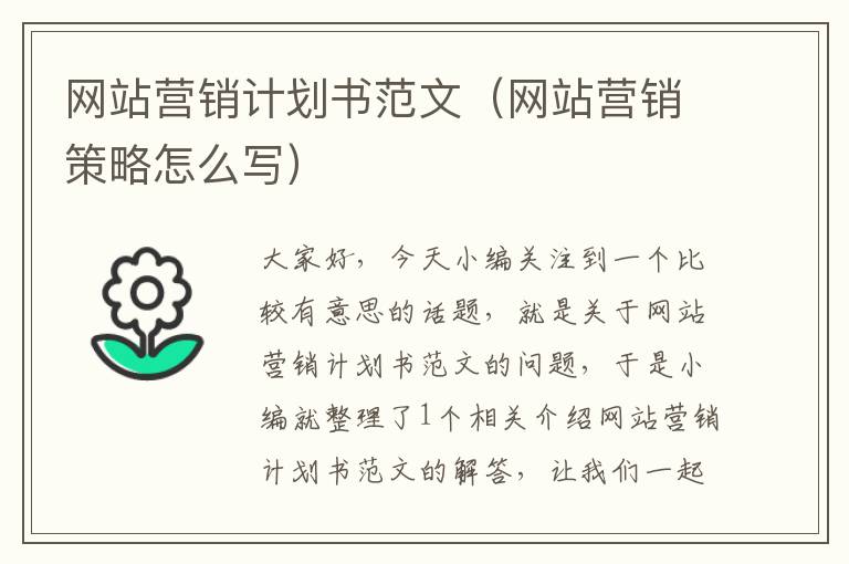 网站营销计划书范文（网站营销策略怎么写）