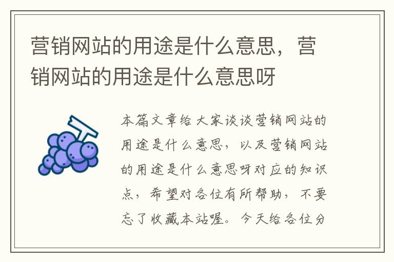 营销网站的用途是什么意思，营销网站的用途是什么意思呀