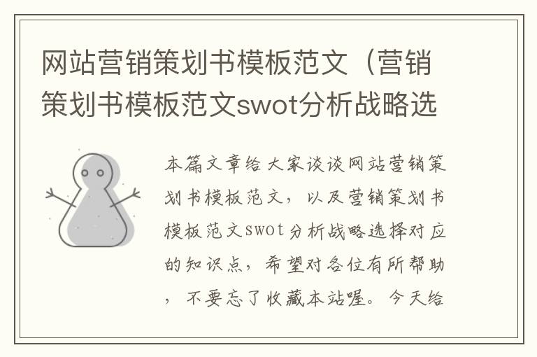 网站营销策划书模板范文（营销策划书模板范文swot分析战略选择）