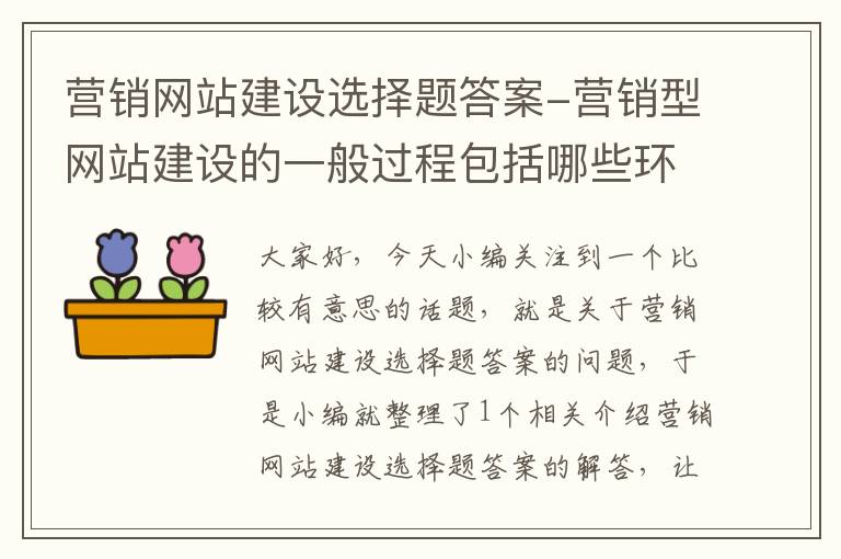 营销网站建设选择题答案-营销型网站建设的一般过程包括哪些环节?