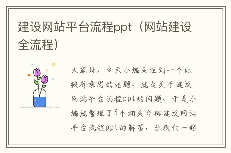 建设网站平台流程ppt（网站建设全流程）