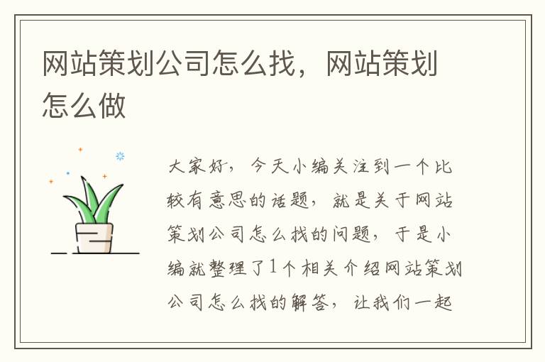 网站策划公司怎么找，网站策划怎么做