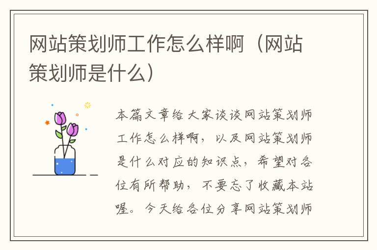 网站策划师工作怎么样啊（网站策划师是什么）