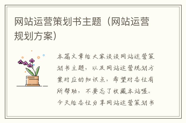 网站运营策划书主题（网站运营规划方案）