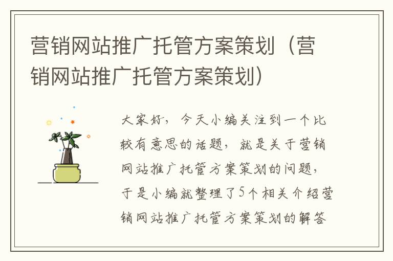 营销网站推广托管方案策划（营销网站推广托管方案策划）