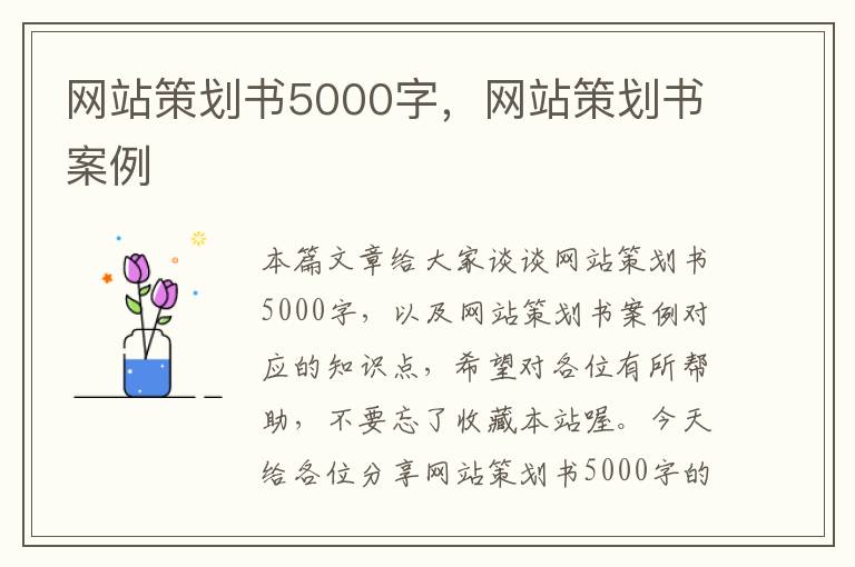 网站策划书5000字，网站策划书案例