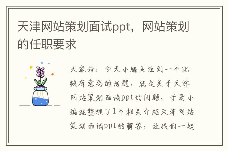 天津网站策划面试ppt，网站策划的任职要求