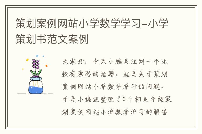 策划案例网站小学数学学习-小学策划书范文案例