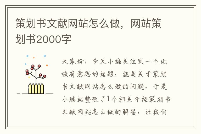 策划书文献网站怎么做，网站策划书2000字