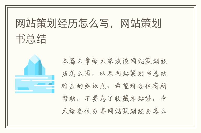 网站策划经历怎么写，网站策划书总结