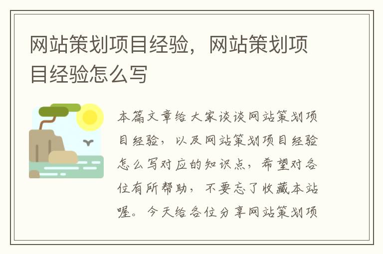 网站策划项目经验，网站策划项目经验怎么写