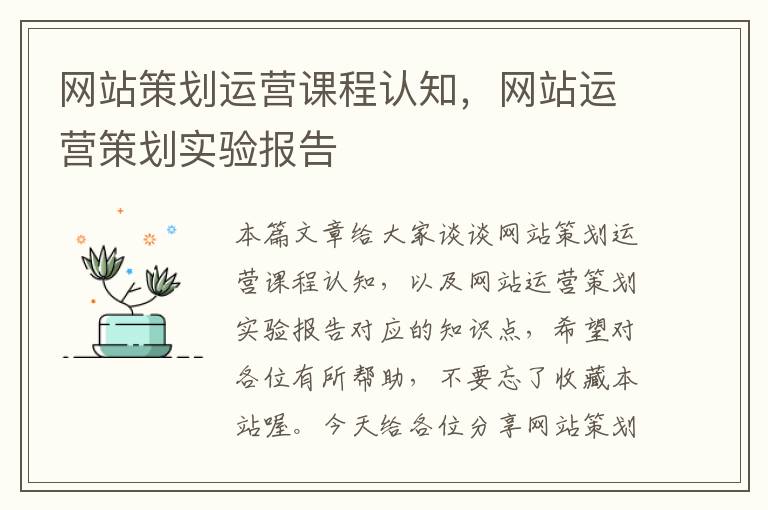 网站策划运营课程认知，网站运营策划实验报告