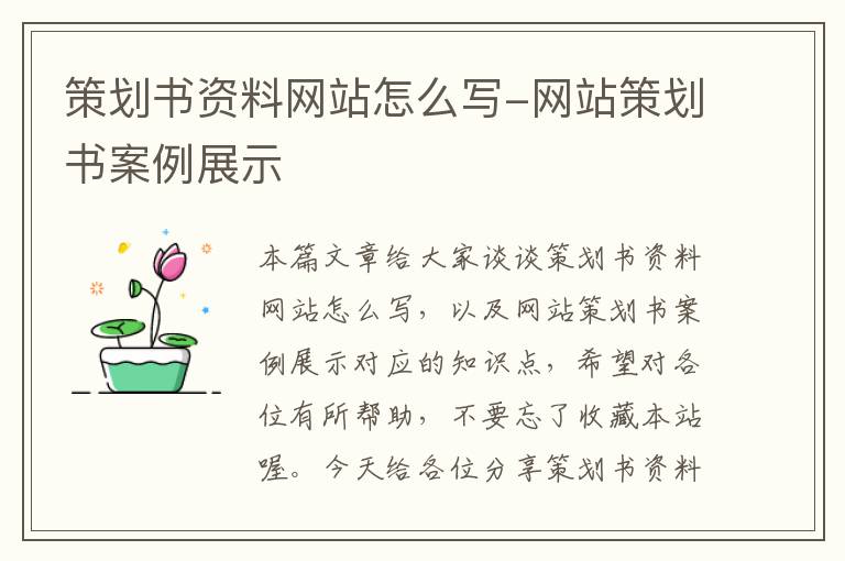 策划书资料网站怎么写-网站策划书案例展示