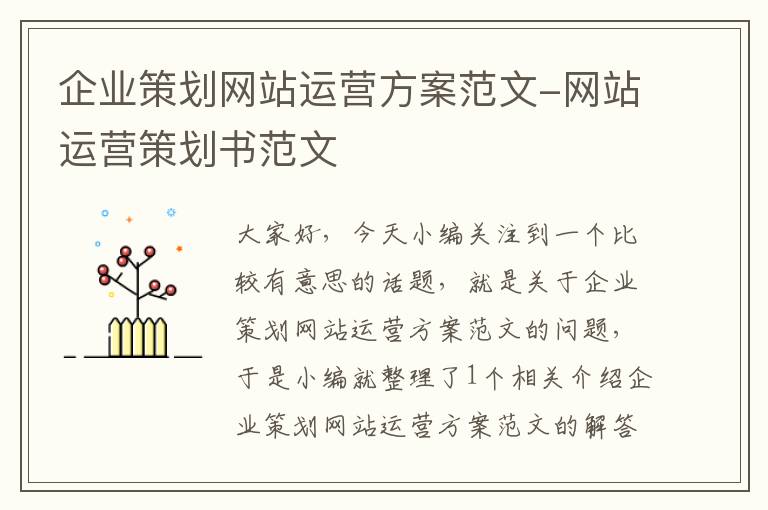 企业策划网站运营方案范文-网站运营策划书范文