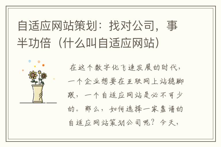 自适应网站策划：找对公司，事半功倍（什么叫自适应网站）