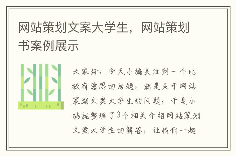 网站策划文案大学生，网站策划书案例展示