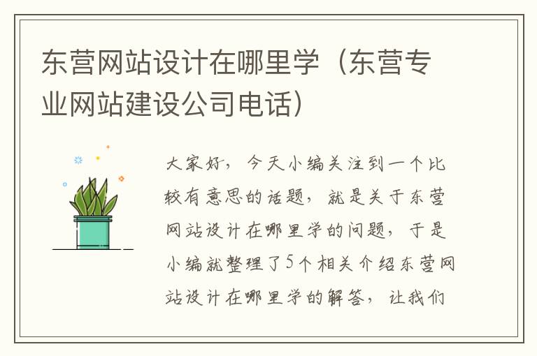 东营网站设计在哪里学（东营专业网站建设公司电话）