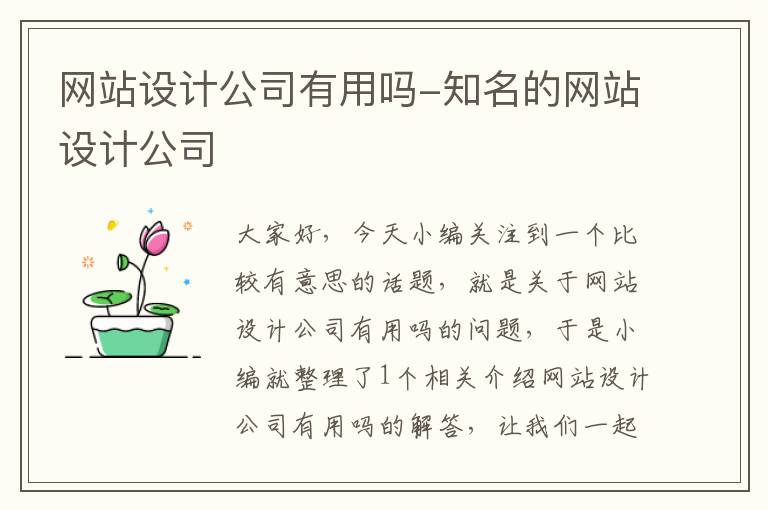 网站设计公司有用吗-知名的网站设计公司