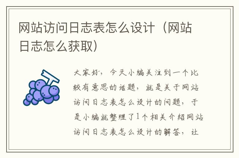 网站访问日志表怎么设计（网站日志怎么获取）