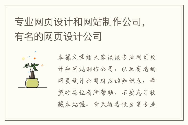 专业网页设计和网站制作公司，有名的网页设计公司