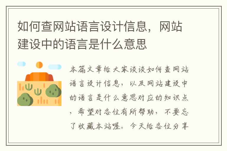 如何查网站语言设计信息，网站建设中的语言是什么意思