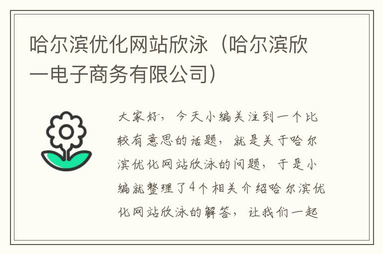 哈尔滨优化网站欣泳（哈尔滨欣一电子商务有限公司）