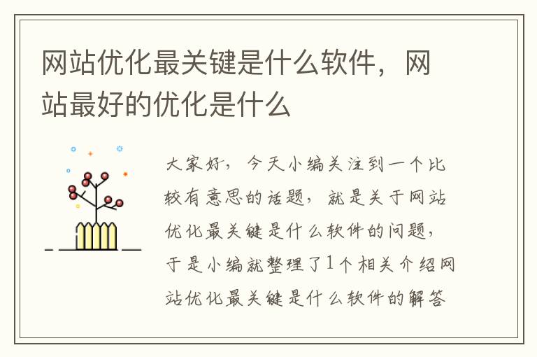 网站优化最关键是什么软件，网站最好的优化是什么