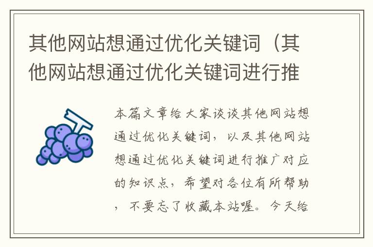 其他网站想通过优化关键词（其他网站想通过优化关键词进行推广）