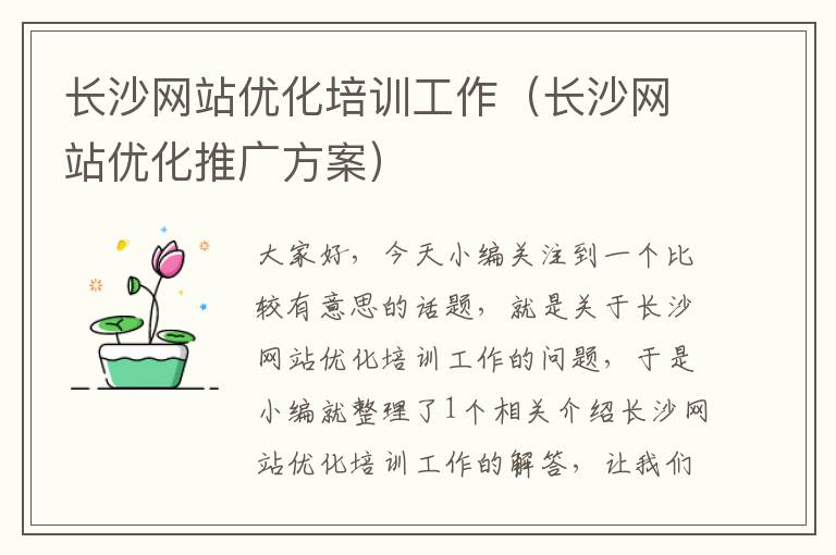 长沙网站优化培训工作（长沙网站优化推广方案）