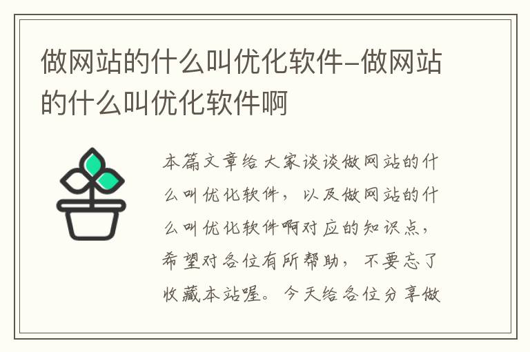 做网站的什么叫优化软件-做网站的什么叫优化软件啊