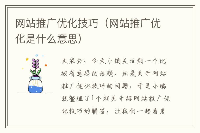 网站推广优化技巧（网站推广优化是什么意思）