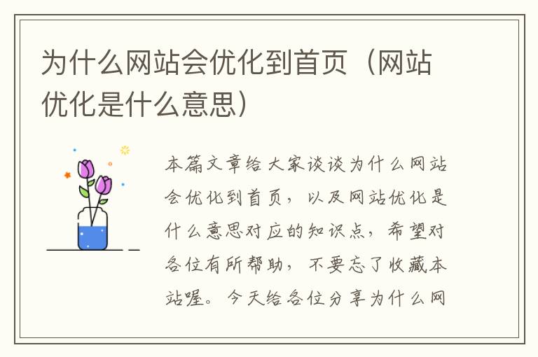 为什么网站会优化到首页（网站优化是什么意思）