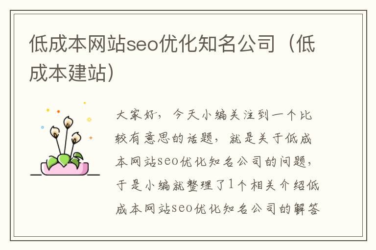 低成本网站seo优化知名公司（低成本建站）