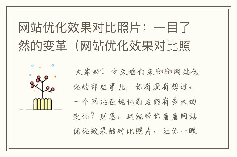 网站优化效果对比照片：一目了然的变革（网站优化效果对比照片怎么弄）