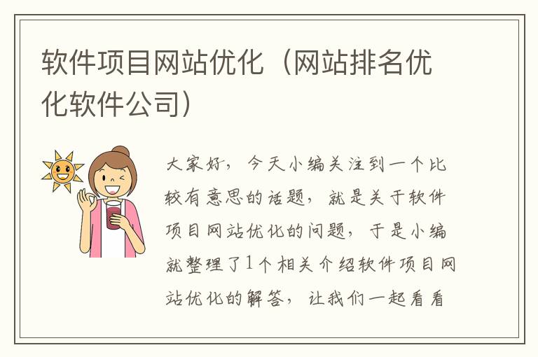 软件项目网站优化（网站排名优化软件公司）