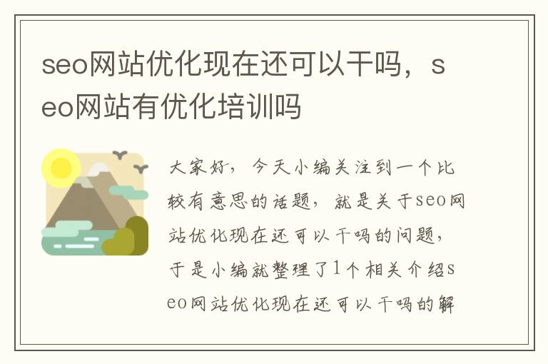 seo网站优化现在还可以干吗，seo网站有优化培训吗