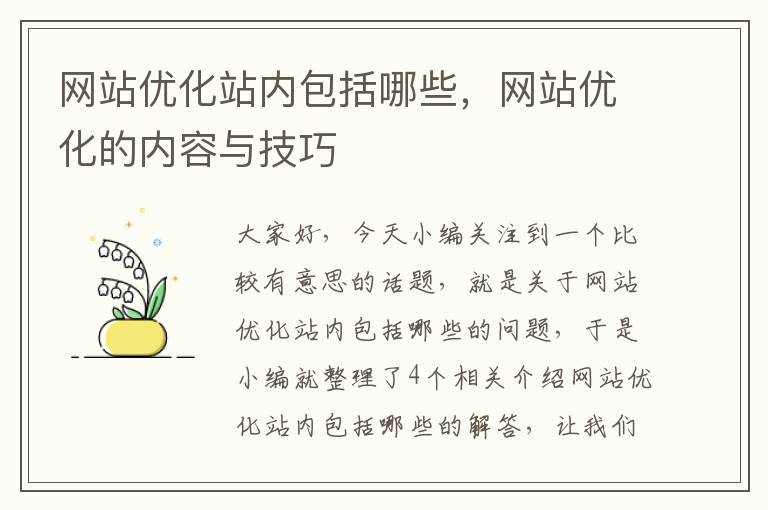 网站优化站内包括哪些，网站优化的内容与技巧