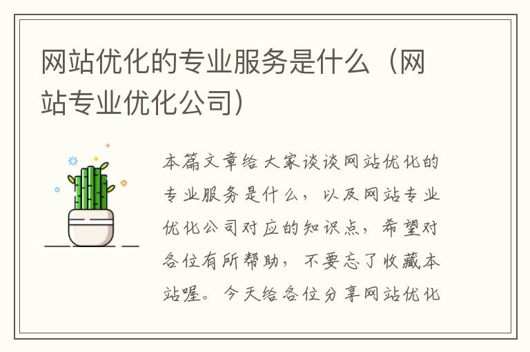 网站优化的专业服务是什么（网站专业优化公司）