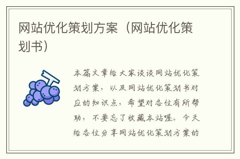 网站优化策划方案（网站优化策划书）