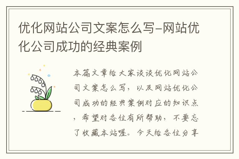 优化网站公司文案怎么写-网站优化公司成功的经典案例