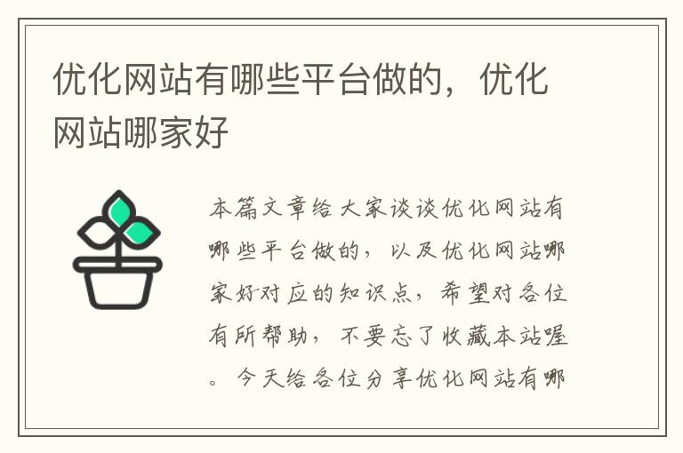 优化网站有哪些平台做的，优化网站哪家好