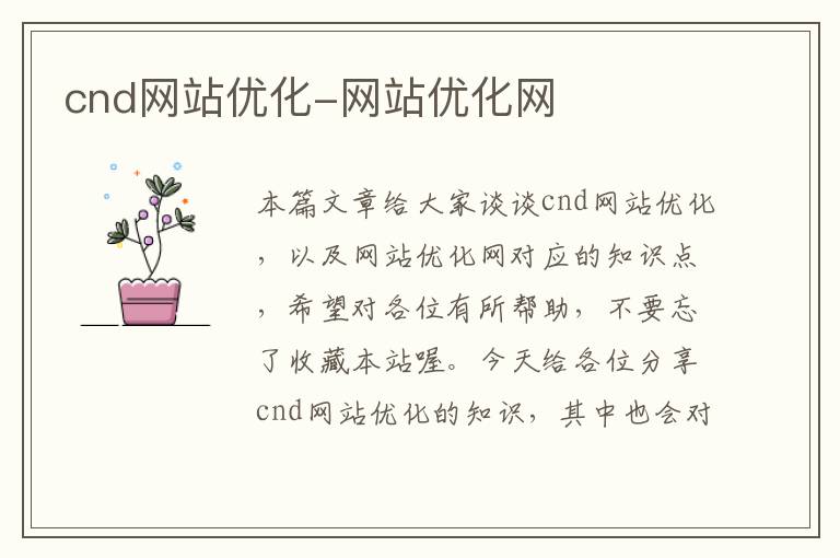 cnd网站优化-网站优化网