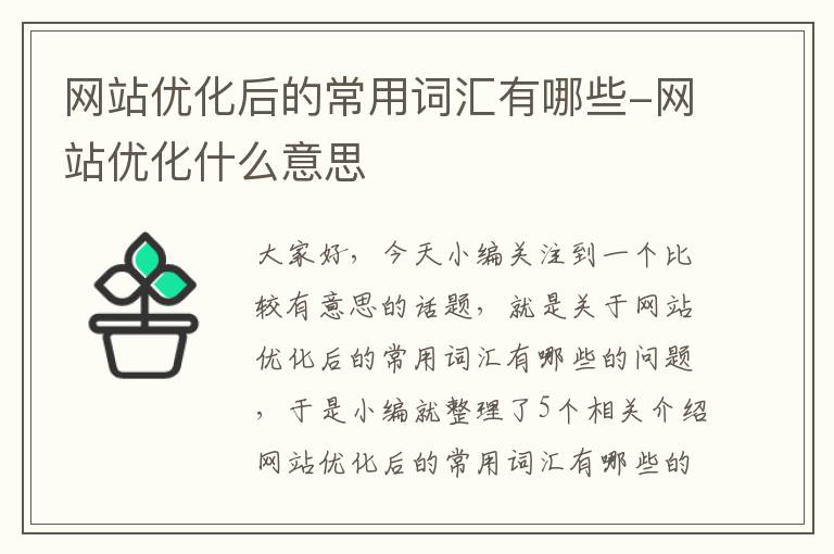 网站优化后的常用词汇有哪些-网站优化什么意思