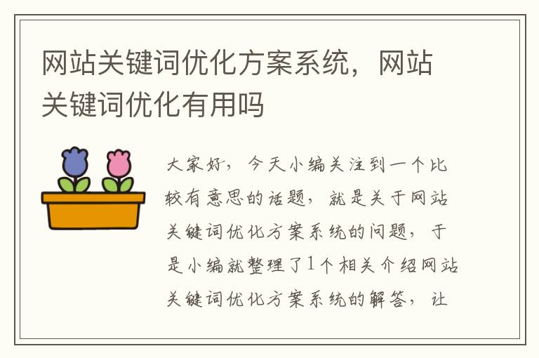 网站关键词优化方案系统，网站关键词优化有用吗