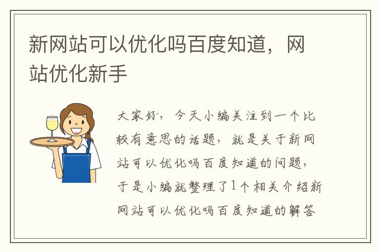 新网站可以优化吗百度知道，网站优化新手